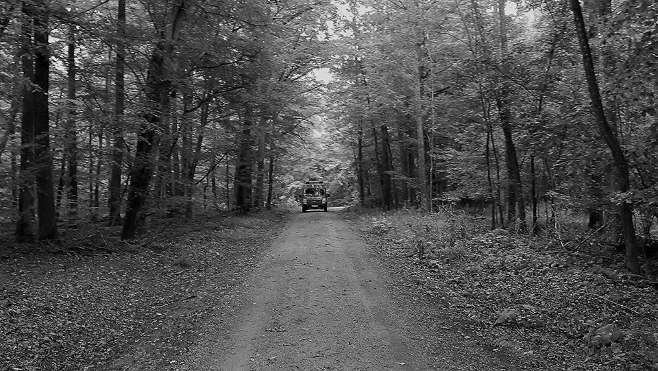 MZF im Wald